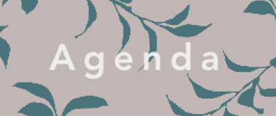 agenda button